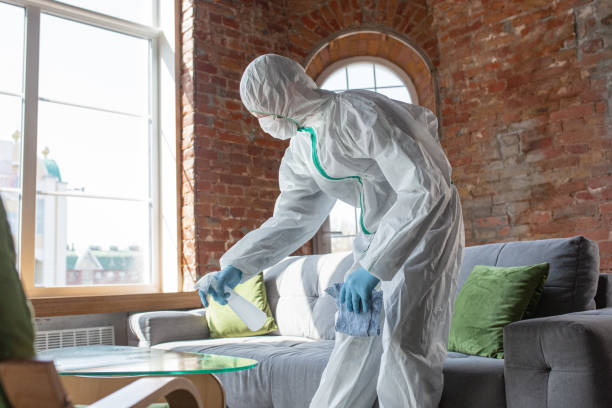 Why You Should Choose Our Mold Remediation Services in Newman, CA